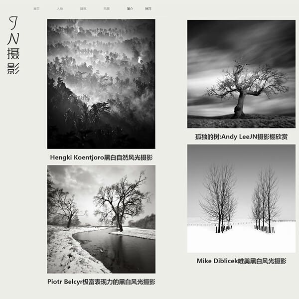 摄影黑白网站（14页）+说明